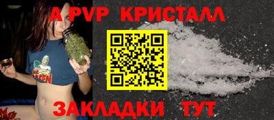 шишки Кингисепп