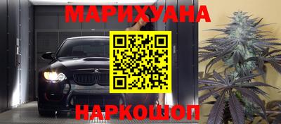 шишки Кингисепп