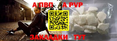 шишки Кингисепп