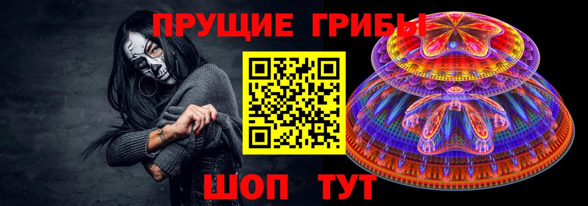 Галлюциногенные грибы Psilocybe Электросталь