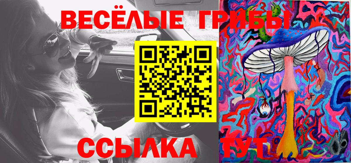 Псилоцибиновые грибы прущие грибы  Псилоцибиновые грибы Psilocybe  Электросталь  Вход с VPN 